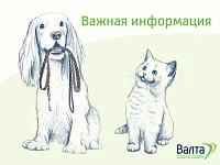 График работы на 8 марта График работы на 8 марта