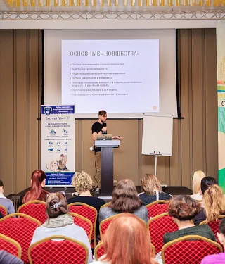 Комплексный консалтинг Комплексный консалтинг