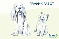 Ноябрьские праздники: график работы магазинов "Валта Cash&Carry" Ноябрьские праздники: график работы магазинов "Валта Cash&Carry"