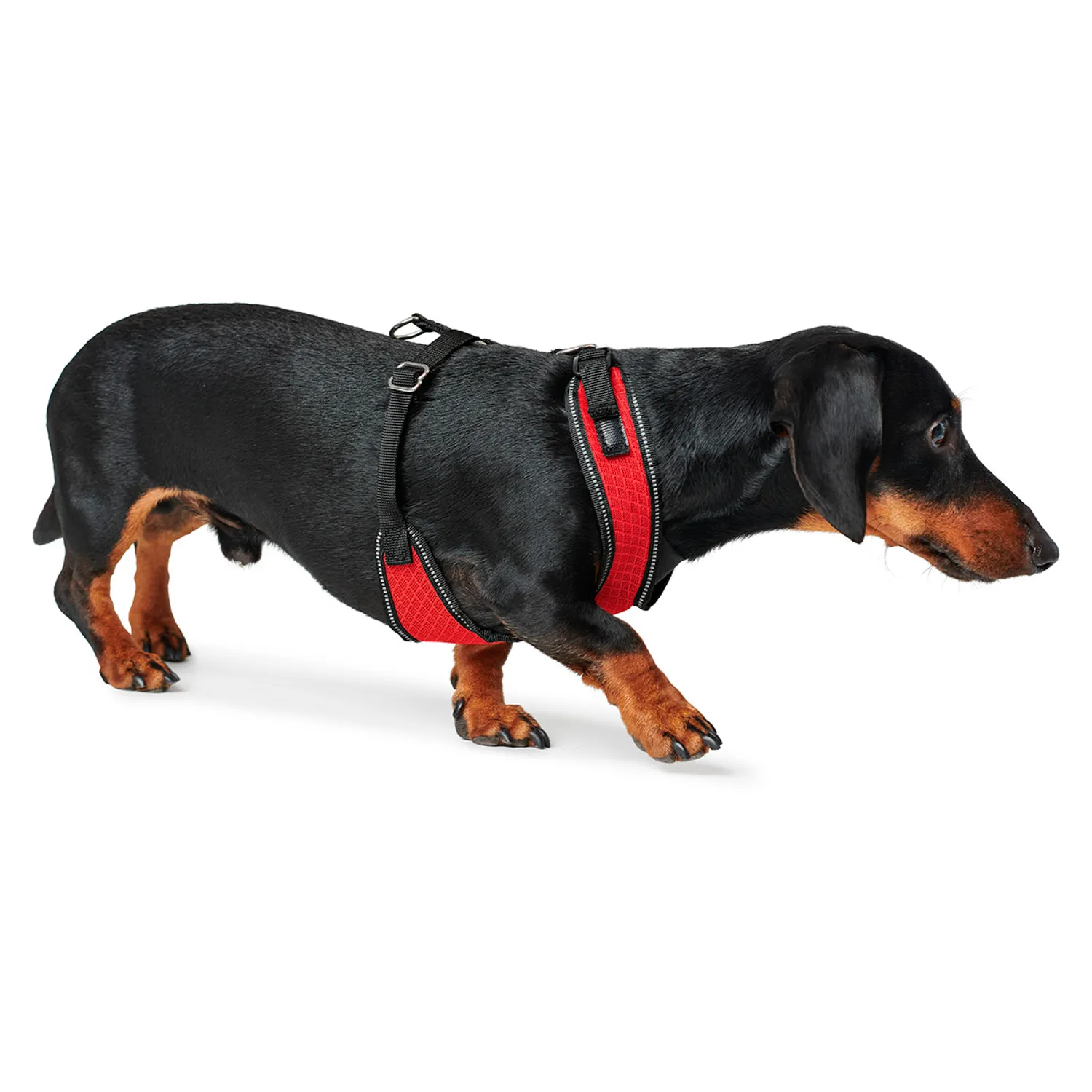 Hunter шлейка для собак Manoa XS (35-41 см) нейлон / сетчатый текстиль красный