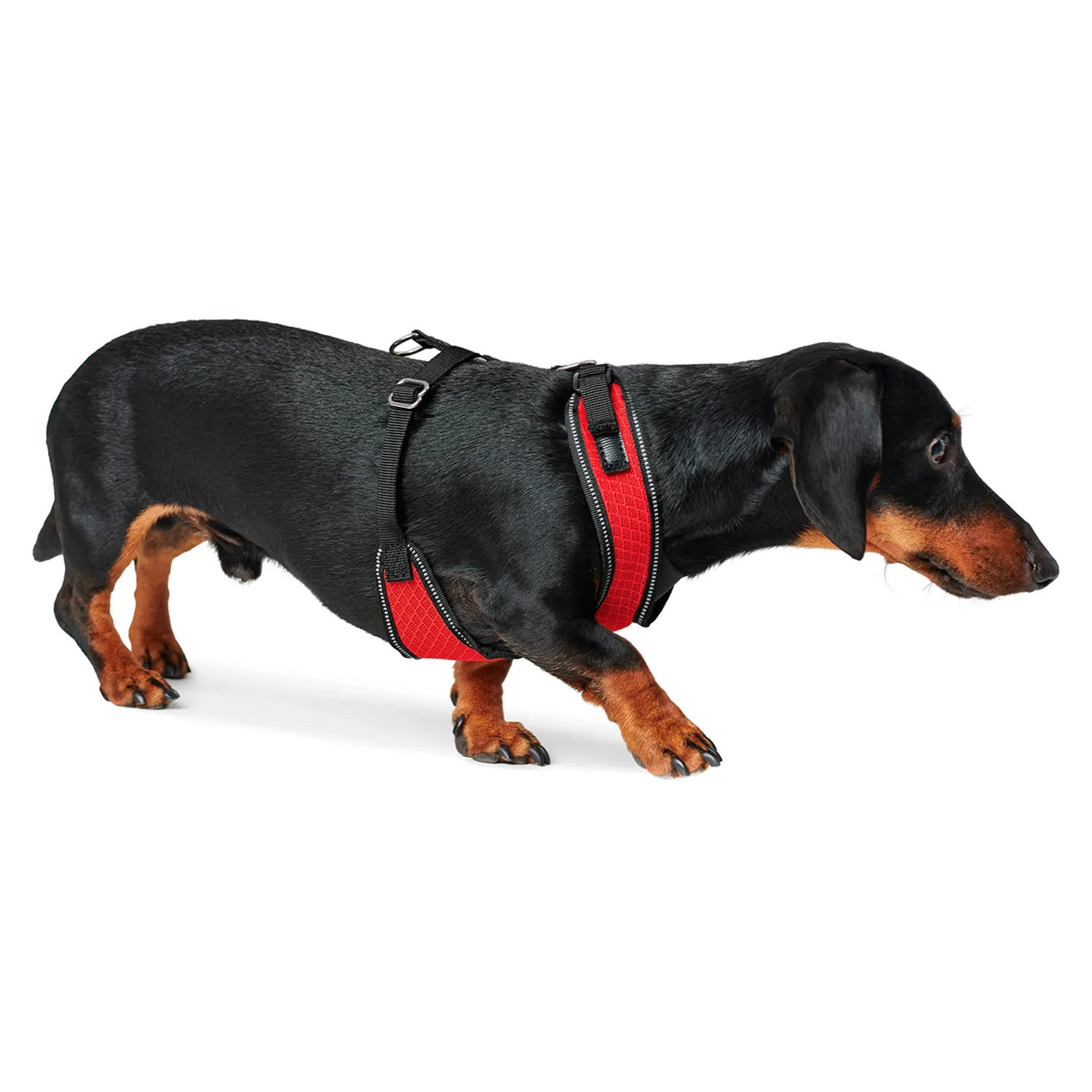 Hunter шлейка для собак Manoa M (44-55 см) нейлон / сетчатый текстиль красный