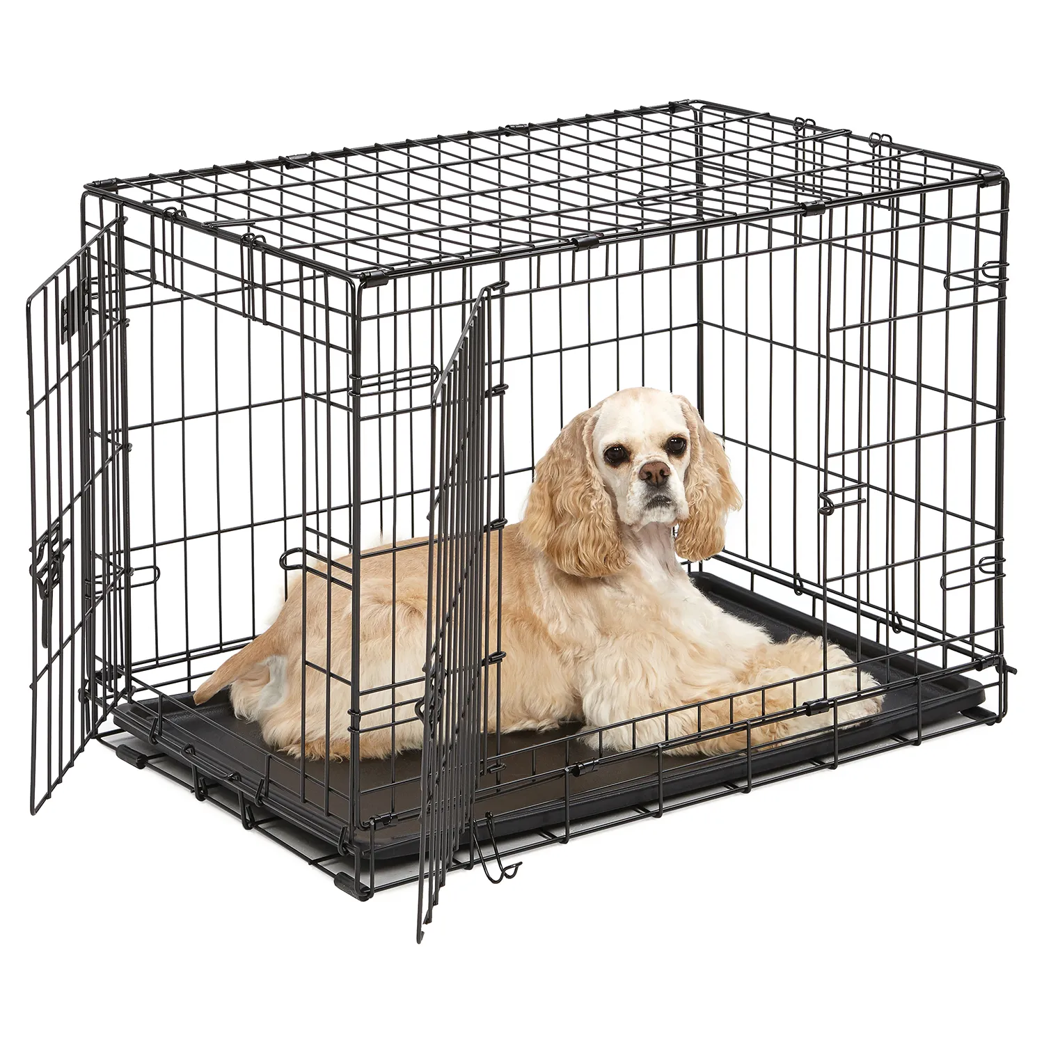 Клетка MidWest iCrate для собак 77,9х49х54,5h см, 2 двери, черная – купить  товары для домашних животных в интернет магазине Valta