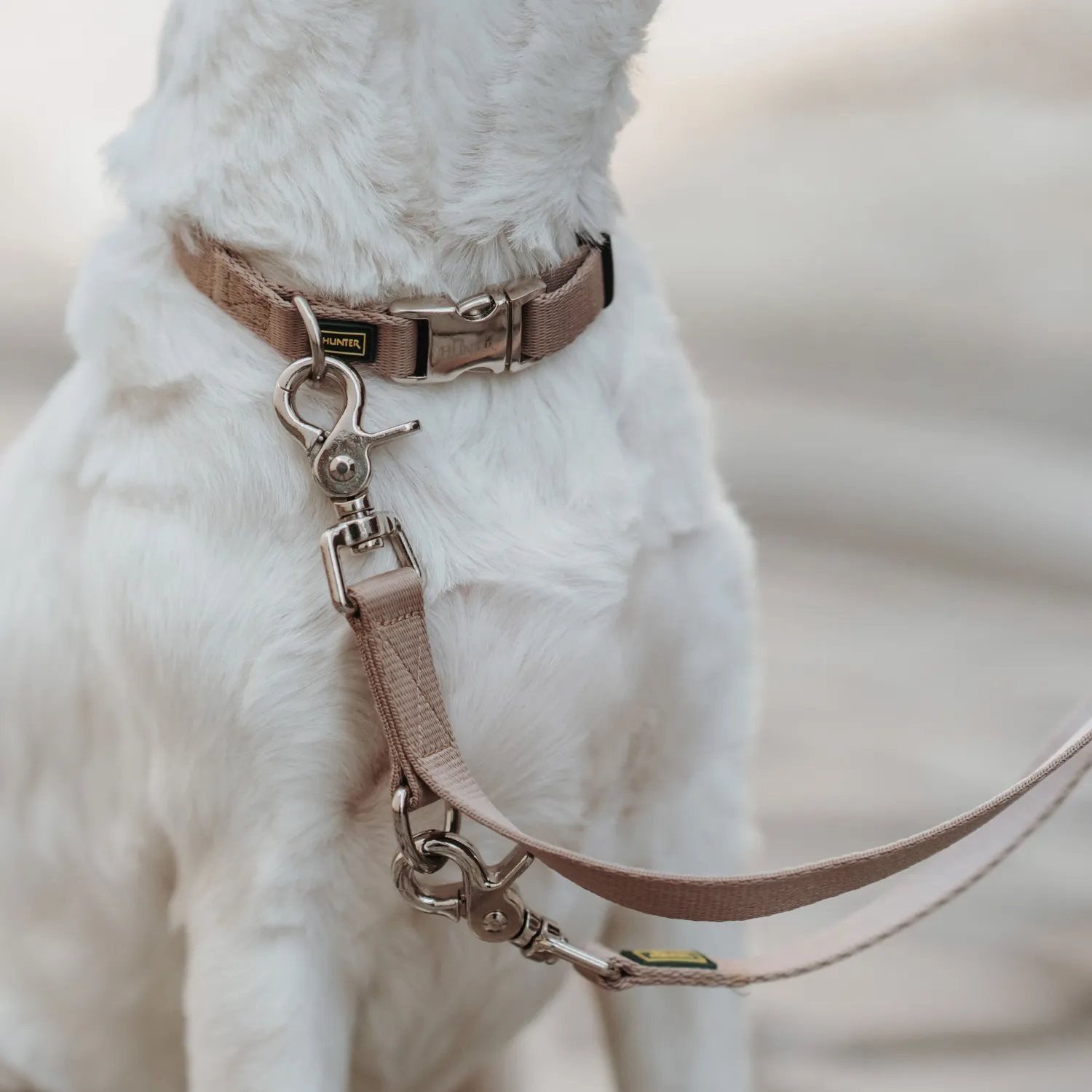 Hunter ошейник для собак ALU-Strong Inari L (45-65 см) нейлон с металлической застежкой бежевый