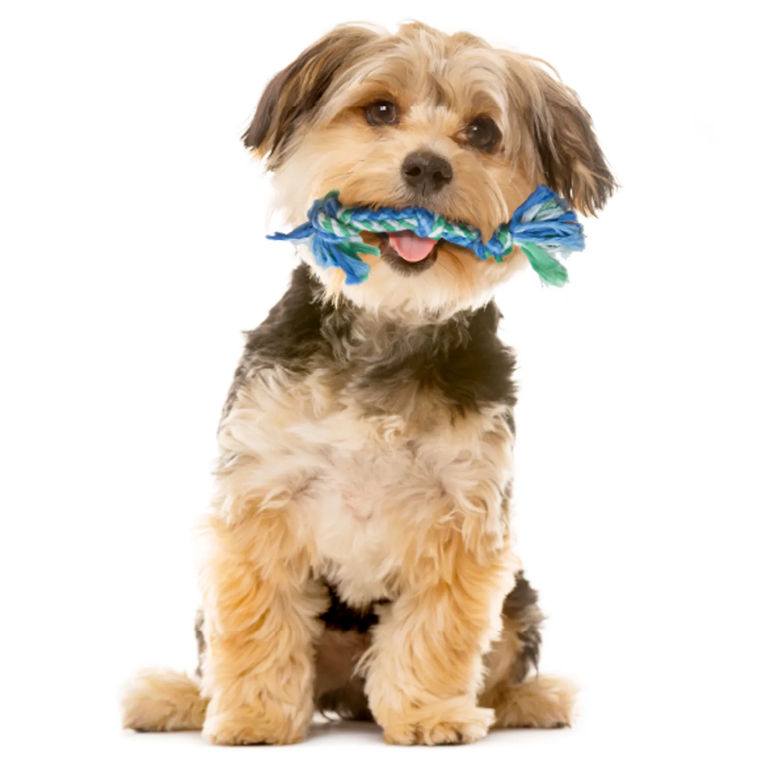 Petstages игрушка для собак Mini "ОРКА Дентал набор" 15 см