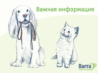 График работы на 12 июня График работы на 12 июня