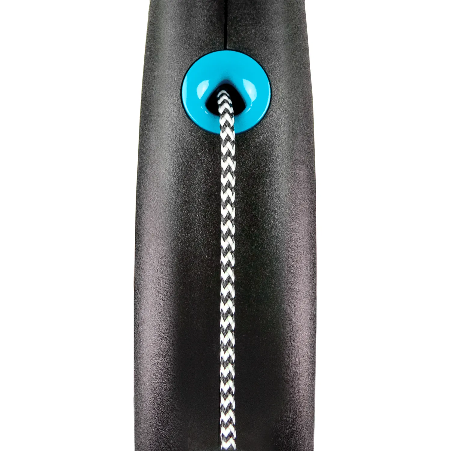 flexi рулетка Black Design XS (до 8 кг) 3 м трос черный/голубой