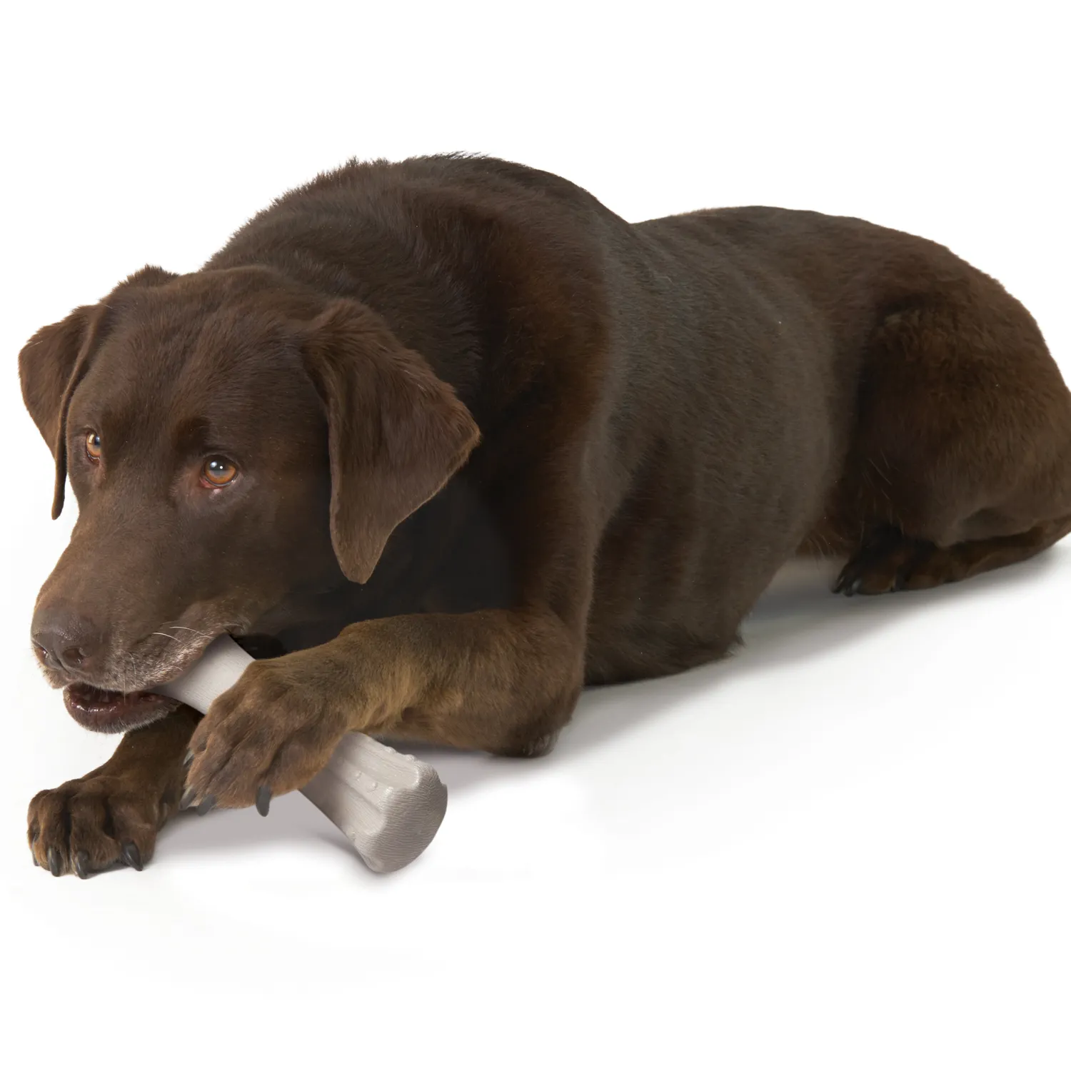 Petstages игрушка для собак Deerhorn, с оленьими рогами 20 см большая