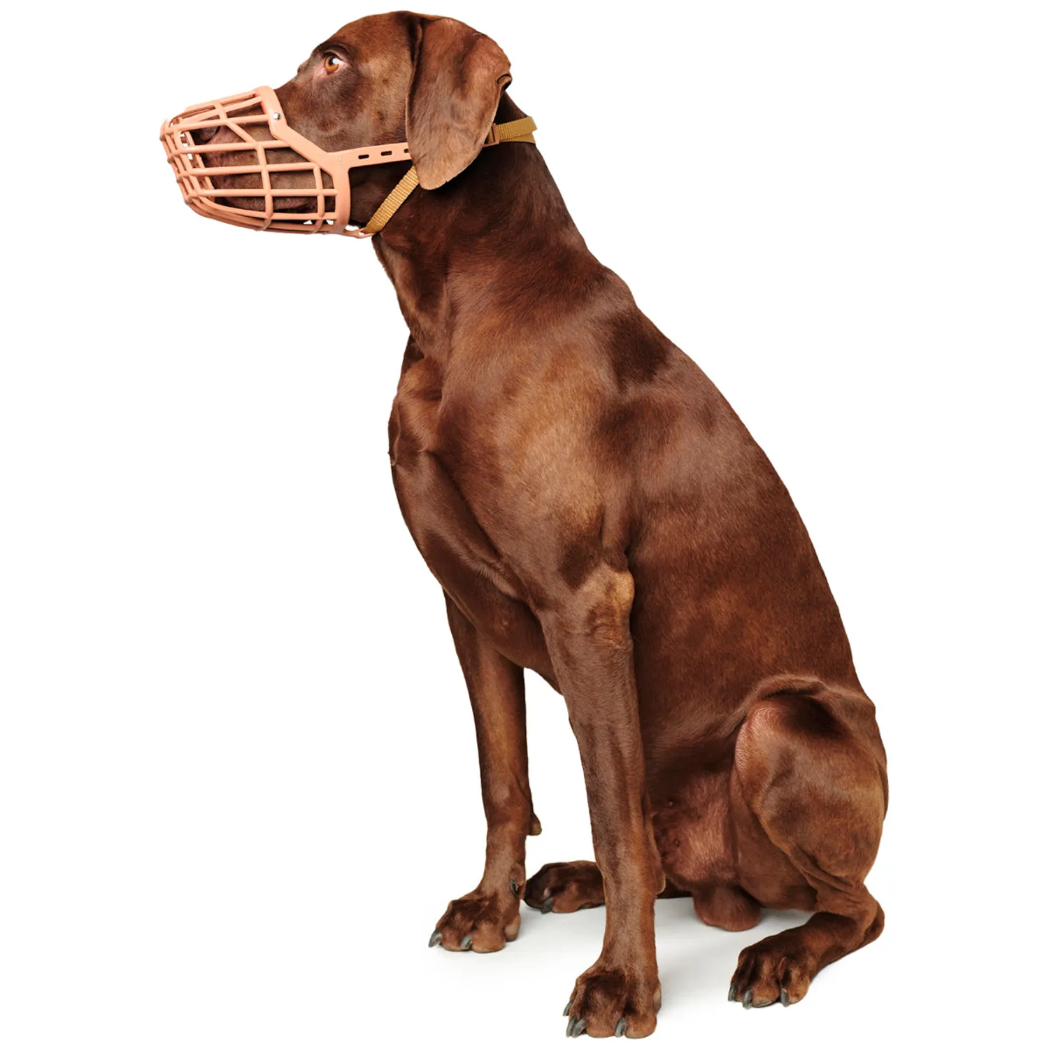 Hunter намордник для собак пластиковый размер 6 (6-10 см) / 28 см, макс. 54 см, лабрадор