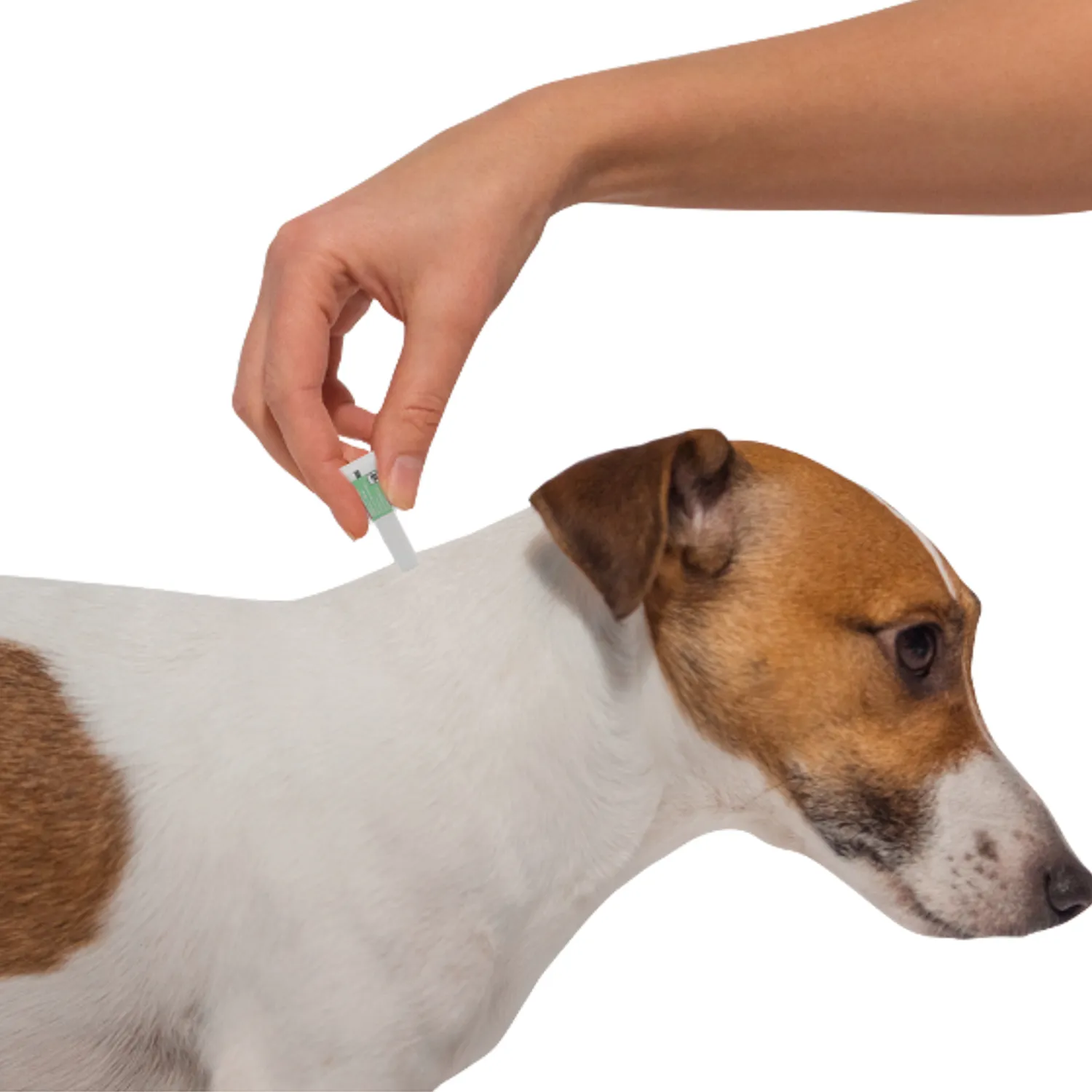 Bayer Адвантикс  40 С для собак до 4 кг от блох, клещей и комаров (4 пипетки х 0,4 мл)