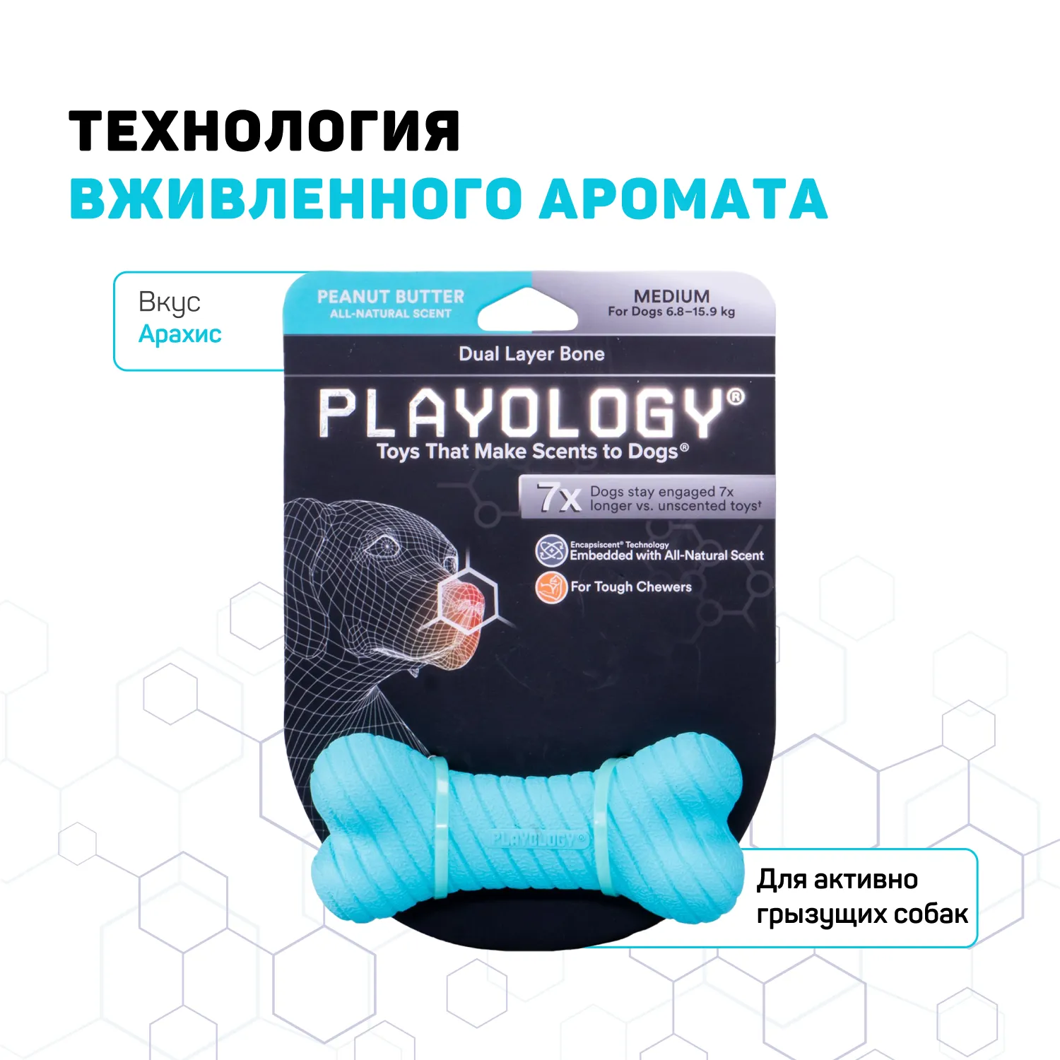 Playology двухслойная жевательная косточка DUAL LAYER BONE для собак средних пород с ароматом арахиса, средняя, цвет голубой