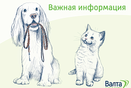 График работы на 12 июня График работы на 12 июня